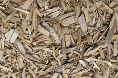 biomass boilers Whiteflat